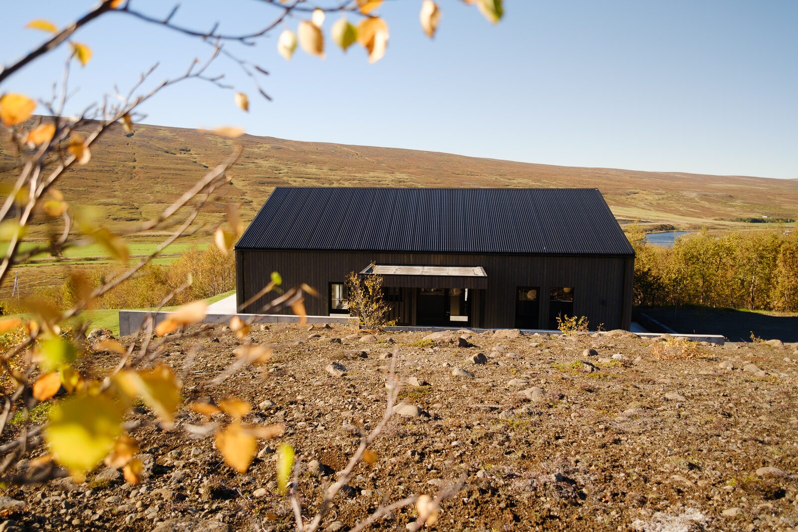 The black house seen across a field with an autumn birch branch framing the foreground and the river visible to the right.